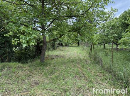 Photo 07.06.2025, 16 28 53 | Prodej - pozemek, zahrada, 907 m²