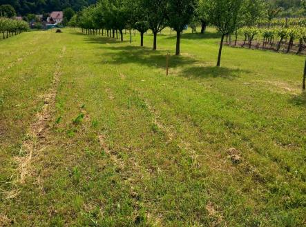 Prodej - pozemek, ostatní, 2 450 m² obrázek
