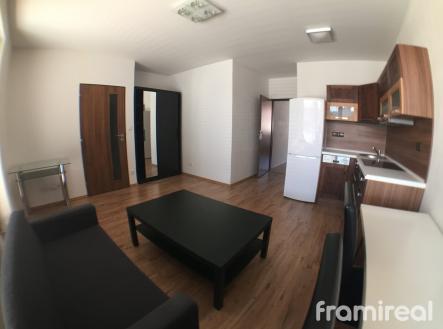 IMG_5404 | Pronájem bytu, 2+kk, 50 m²