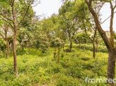 Prodej - pozemek pro bydlení, 868 m²