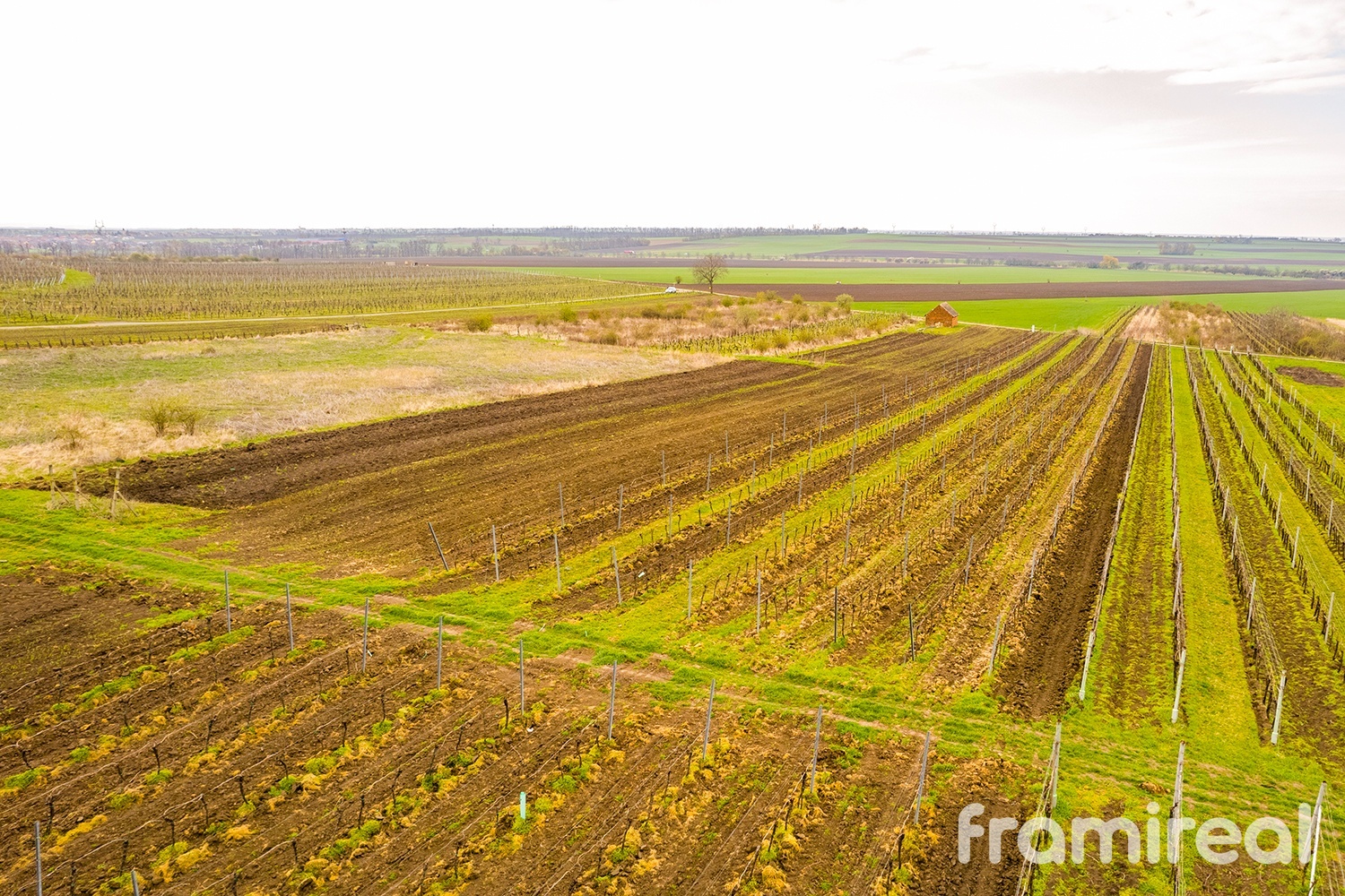 fotopozemekmorvaskyzizkov (9)