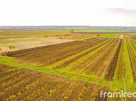 fotopozemekmorvaskyzizkov (9) | Prodej - pozemek pro bydlení, 2 723 m²