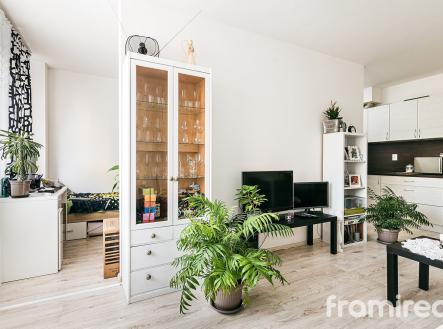fotobytgajdosova (7) | Pronájem bytu, 2+kk, 49 m²