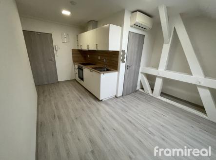 IMG_6550 | Pronájem bytu, 1+kk, 19 m²