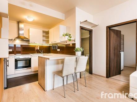 fotobytuleskavy (7) | Pronájem bytu, 2+kk, 53 m²