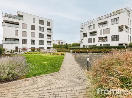 fotobytfirkusneho (3) | Pronájem bytu, 2+kk, 57 m²