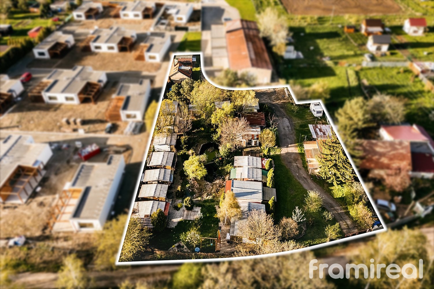 fotopozmekstrachotin (2)