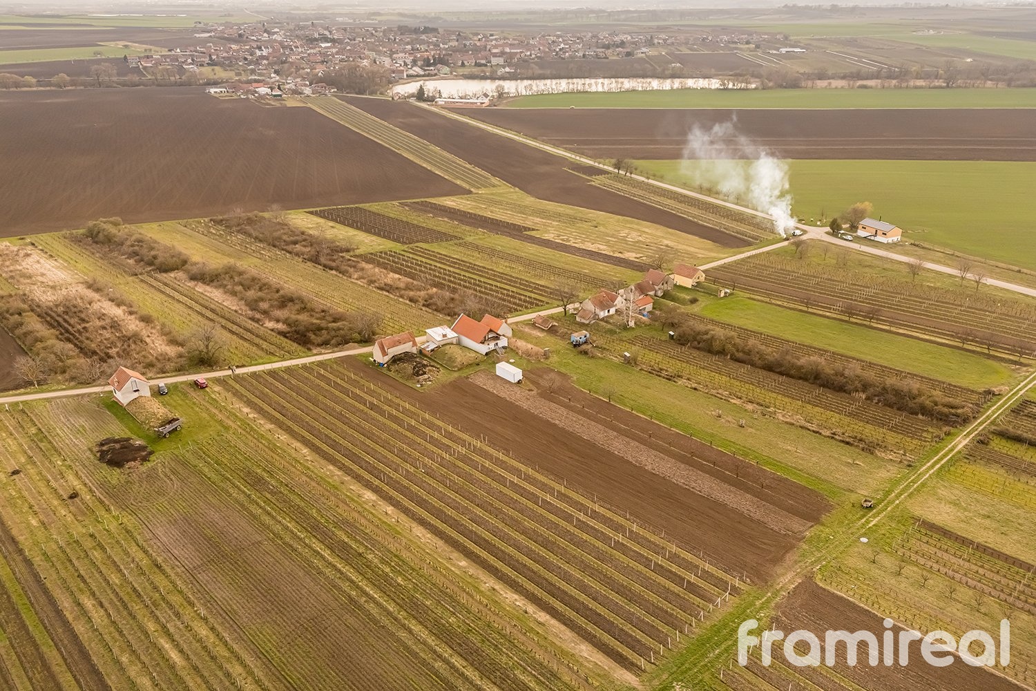 fotopozemkymoravskyzizkov (19)