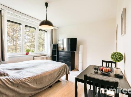 FOTOBYTLISEN (3) | Prodej bytu, 2+kk, 42 m²