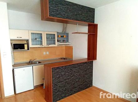 204236496 (1) | Pronájem bytu, 1+kk, 40 m²