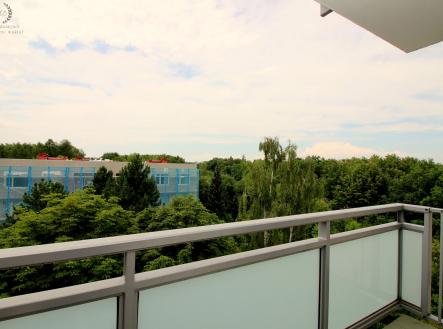 Pronájem bytu, 3+1, 75 m² obrázek