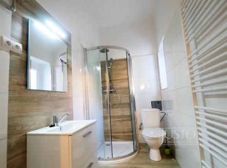 Pronájem bytu, 1+kk, 34 m²