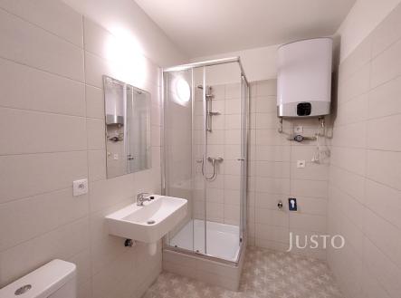 Pronájem bytu, 1+kk, 23 m²