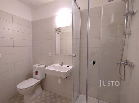 Pronájem bytu, 1+kk, 23 m²