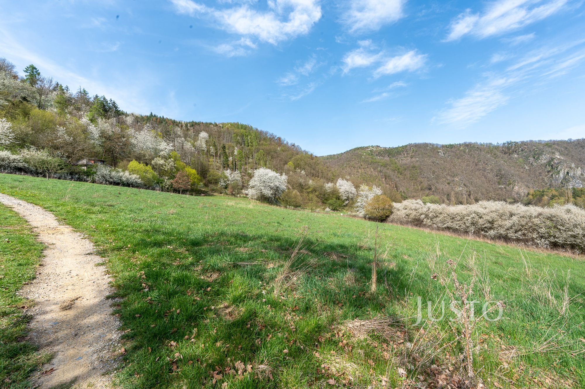 Prodej stavebního pozemku,3494 m², Solenice