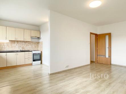 Pronájem bytu, 1+1, 45 m²