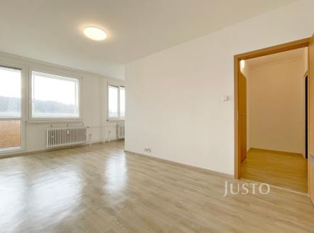 Pronájem bytu, 1+1, 45 m²