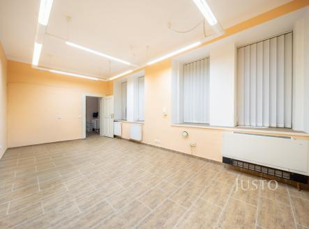 Prodej - obchodní prostor, 301 m²