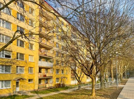 Pronájem bytu, 2+kk, 41 m²