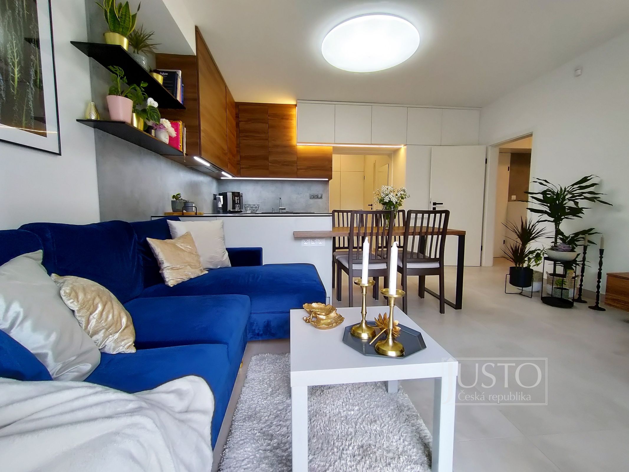 Prodej 2+kk, 114 m², Písek - Cihlářská