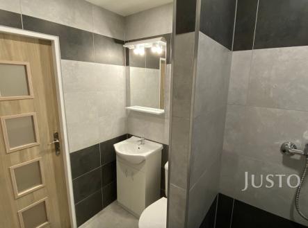 Pronájem bytu, 1+kk, 21 m²