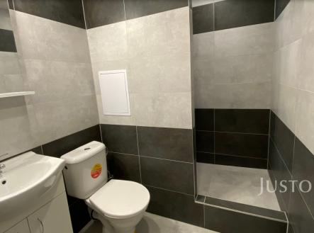 Pronájem bytu, 1+kk, 21 m²