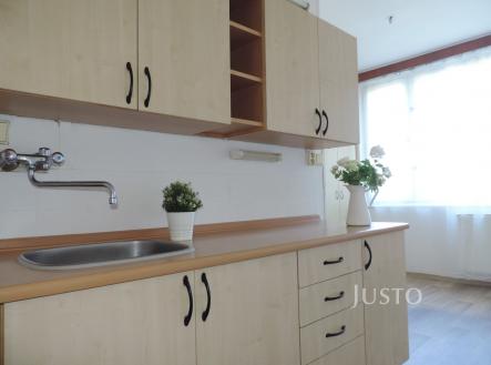 Pronájem bytu, 1+1, 43 m²