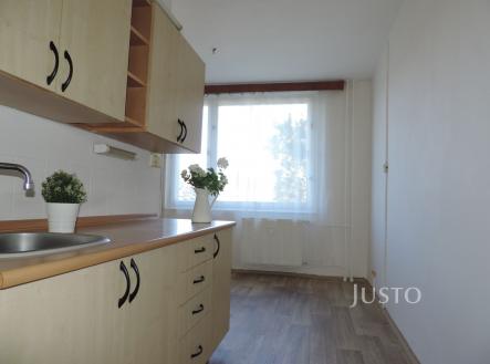 Pronájem bytu, 1+1, 43 m²