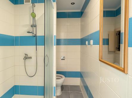 Pronájem bytu, 1+1, 36 m²