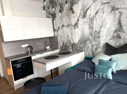 Pronájem bytu, 1+kk, 20 m²