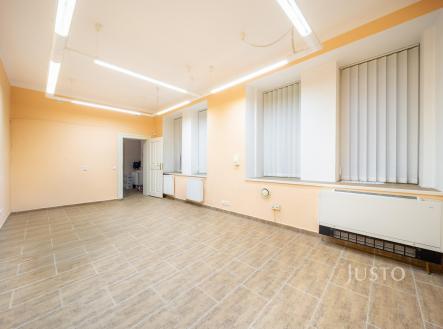 Prodej - obchodní prostor, 301 m²