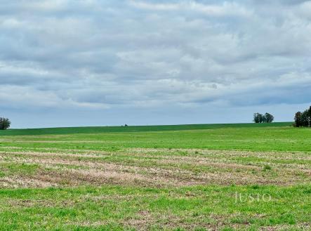 Prodej - pozemek, zemědělská půda, 7 167 m²