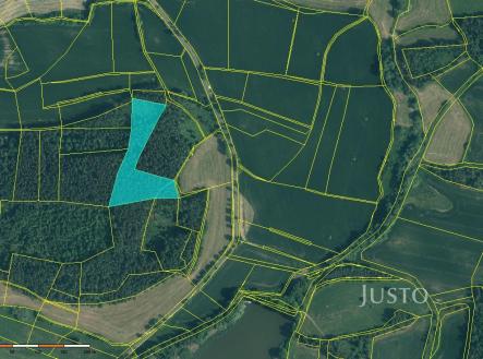 Prodej - pozemek, les, 11 833 m²