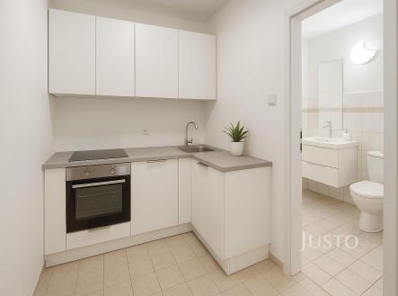 Pronájem bytu, 1+1, 30 m²