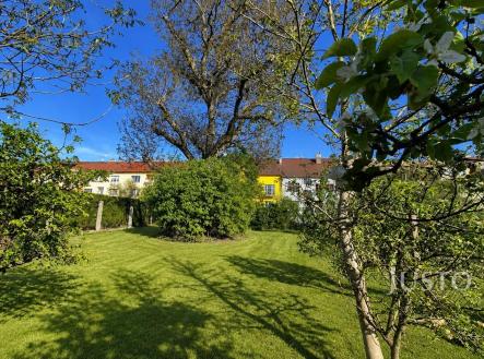 Prodej - dům/vila, 454 m²