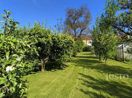 Prodej - dům/vila, 454 m²