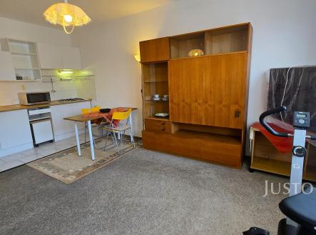 Pronájem bytu, 1+kk, 28 m²
