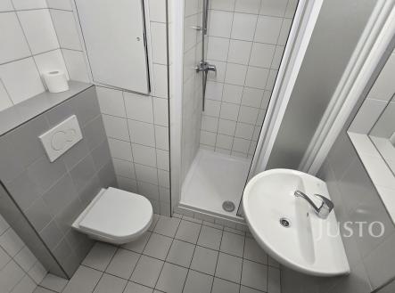 Pronájem bytu, 1+1, 35 m²