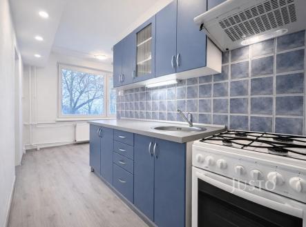 Pronájem bytu, 1+1, 46 m²