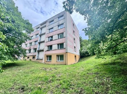 Pronájem bytu, 1+1, 46 m²