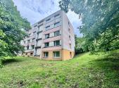 Pronájem bytu, 1+1, 46 m²