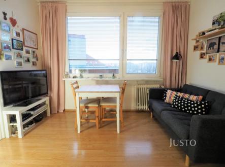 Pronájem bytu, 1+1, 38 m²