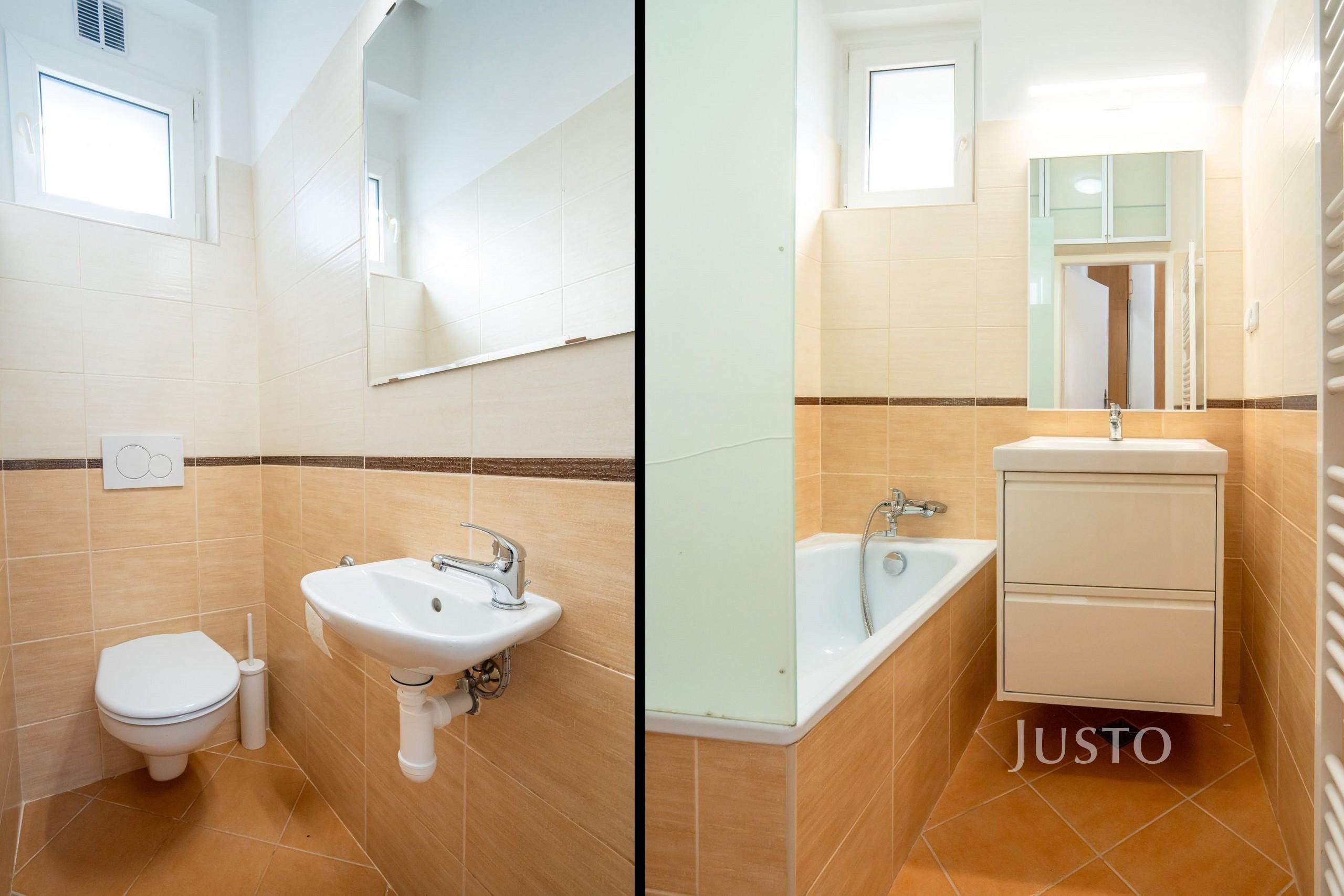 Pronájem ateliéru 1+kk(+komora), 43 m², České družiny, Praha 6 - Dejvice