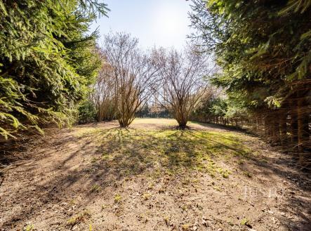 Prodej - pozemek, zahrada, 1 020 m²
