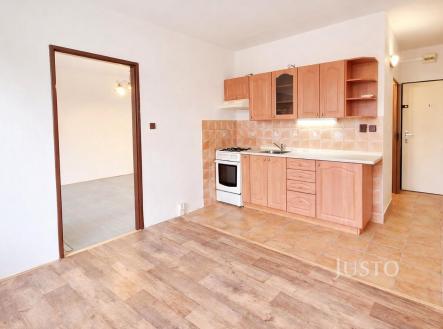 Prodej bytu, 1+1, 38 m²