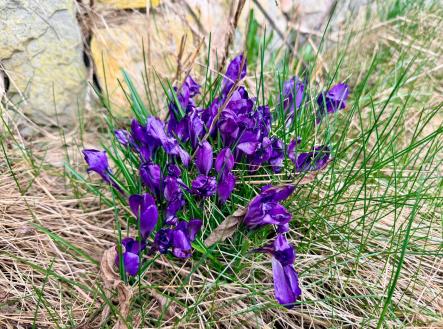 Prodej - dům/vila, 110 m²