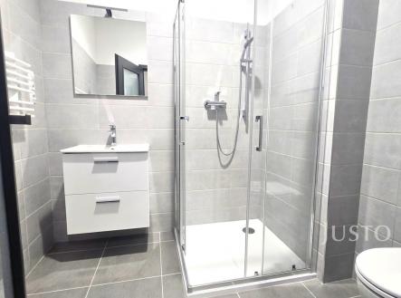 Pronájem bytu, 1+kk, 40 m²