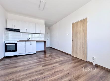 Pronájem bytu, 1+1, 36 m²