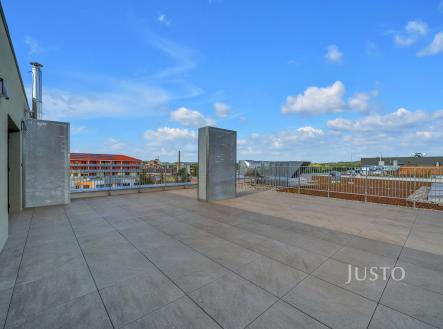 Pronájem bytu, 3+kk, 166 m²