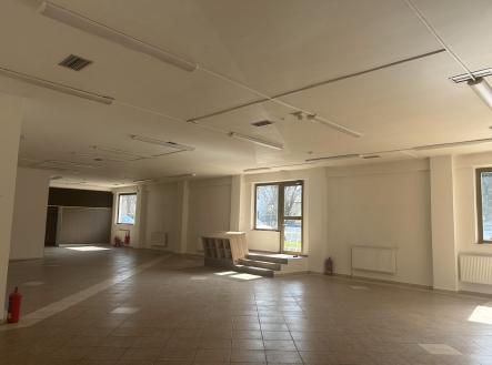 foto: 2 | Pronájem - obchodní prostor, 263 m²